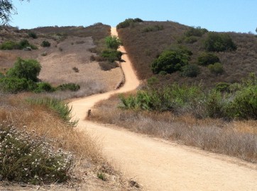 Oh Big Red...You and I will meet again for sprints soon.