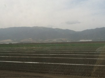 Driving through Salinas.