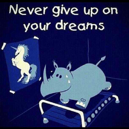While I agree, you want to have the "never give up" attitude, you DO want to have REALISTIC goals.
