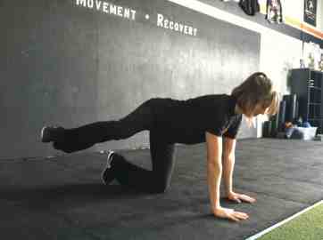 fire hydrant glute activation