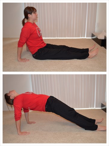 Reverse Plank